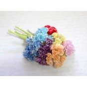 Sample Pack - Mini Mixed Chrysanthemum Flowers