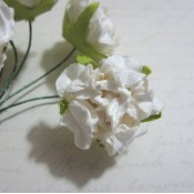 White Peony Mulberry Flowers - 48